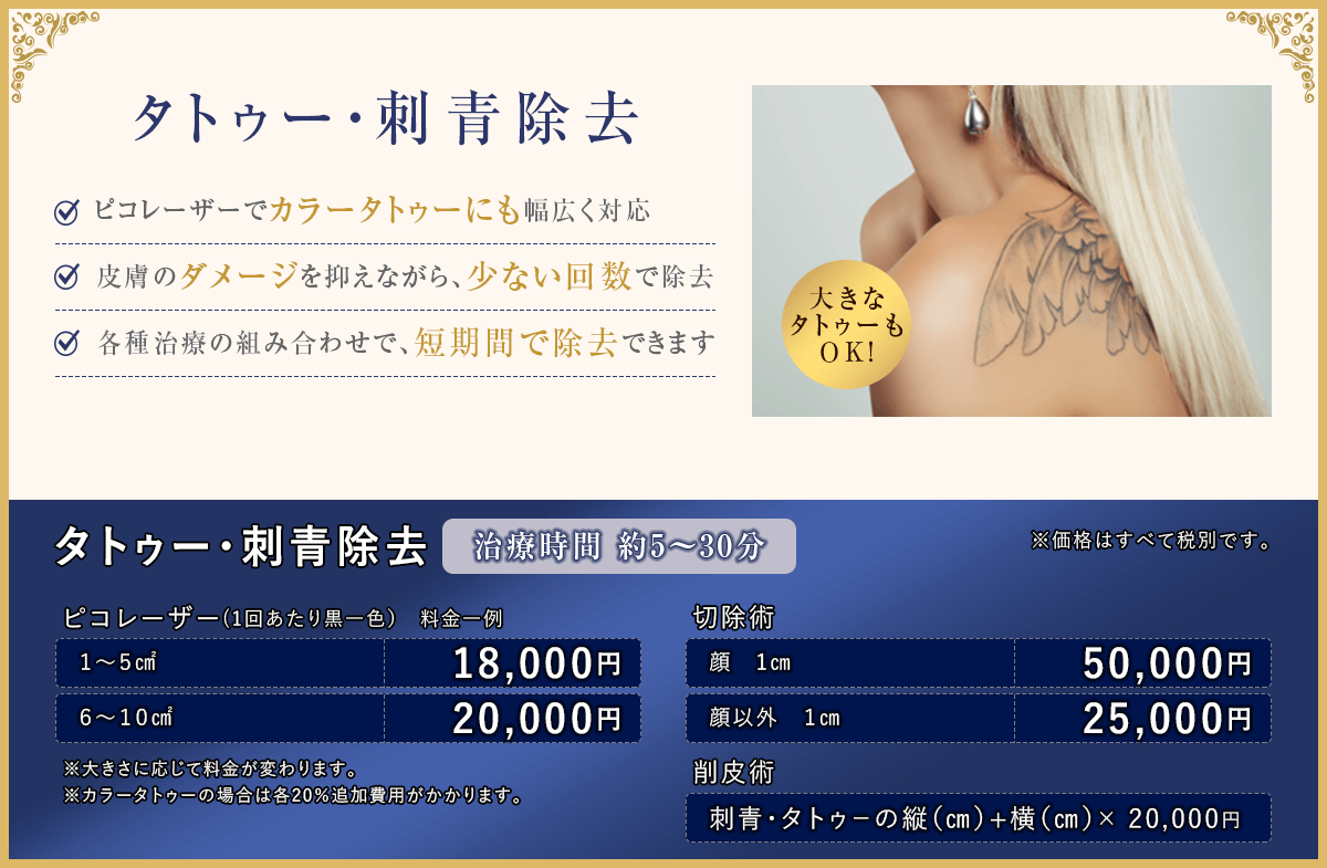 タトゥー・傷跡の修正