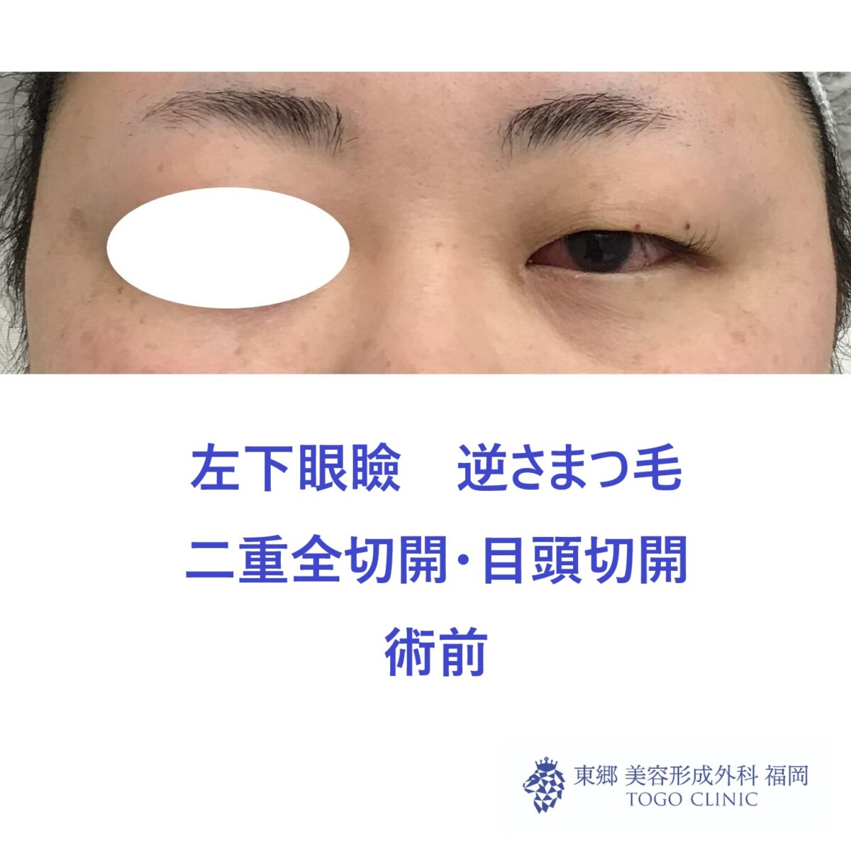 web_40510