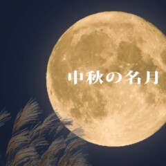 手術は東郷院長にお任せ下さい🌟