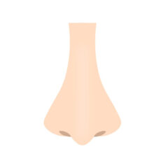 【体験談】横に広がる鼻をすっきり整える小鼻縮小